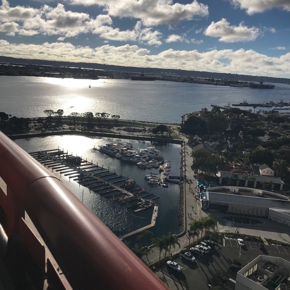 Meet your Posher, Peyton - Picture 1 of 1